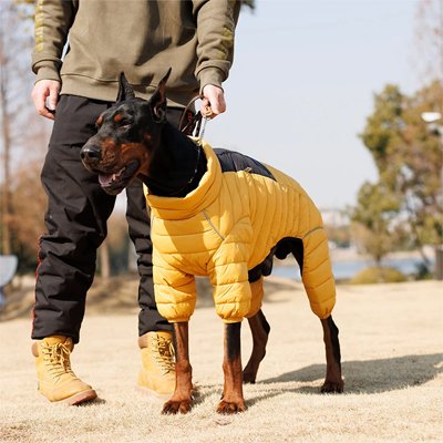 manteau pour chien grand jaune noir hiver chaud
