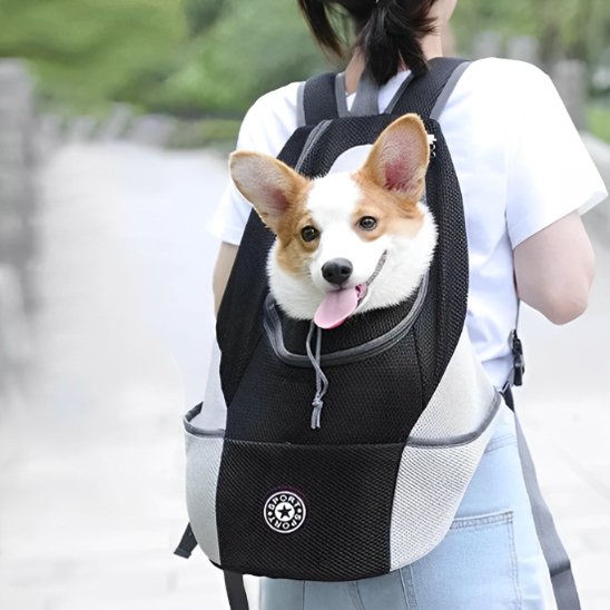 Sac Ă dos pour chien | Mesh Confort