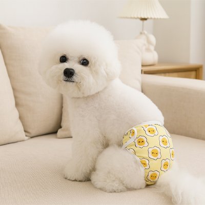 Culotte pour chien | Absorbante Ajustable
