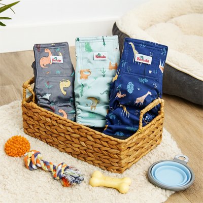 Couche pour chien | Ultra-absorbante