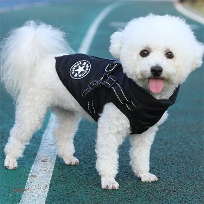 Manteau Chien | ImperCozy
