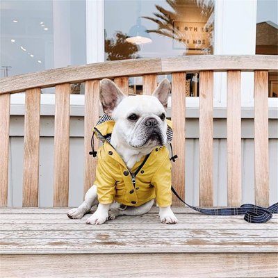 Imperméable pour chien | Waterproof