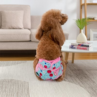Culotte pour chien | Absorbante Ajustable