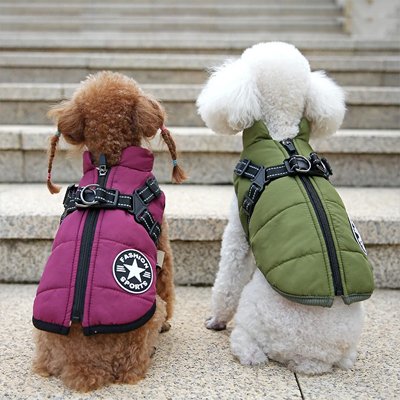 Manteau Chien | ImperCozy