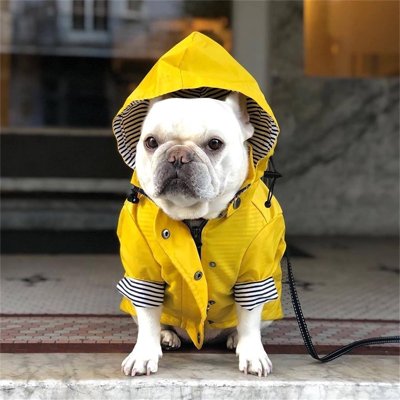 Imperméable pour chien | Waterproof