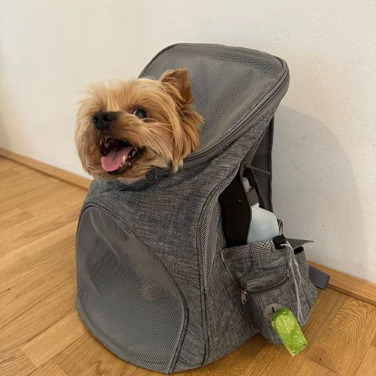 Sac Ă dos pour chien | Transporteur Aventure
