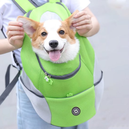 Sac Ă dos pour chien | Mesh Confort