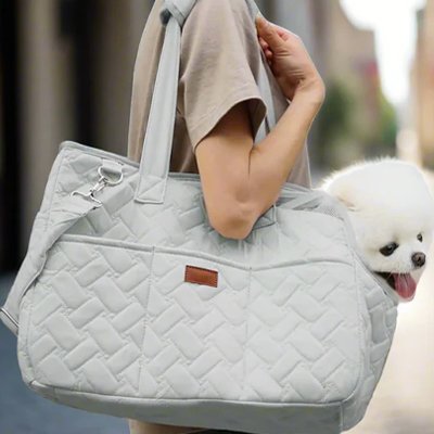 sac de transport pour chien gris avec petit chien interieur