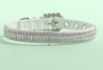 Collier Chien | Confort et Sécurité