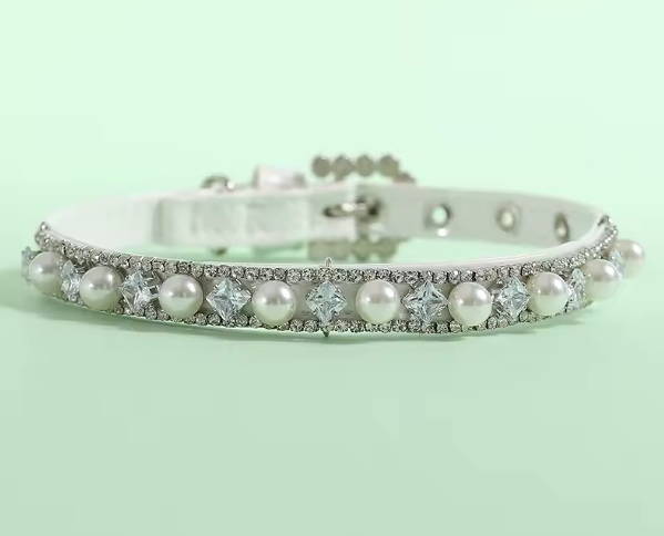 Collier Chien | Confort et Sécurité
