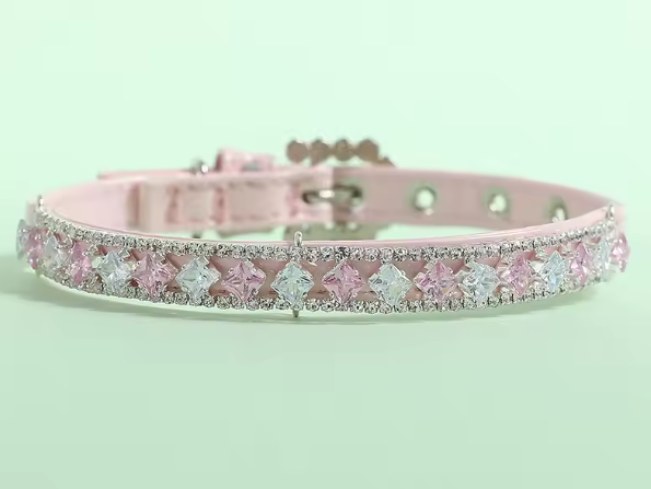 Collier Chien | Confort et Sécurité