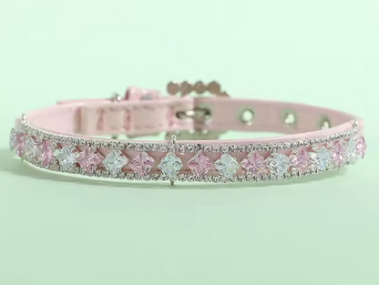 Collier Chien | Confort et Sécurité