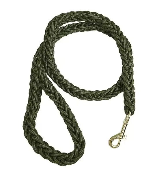 Laisse pour Chien | Robuste et Confortable
