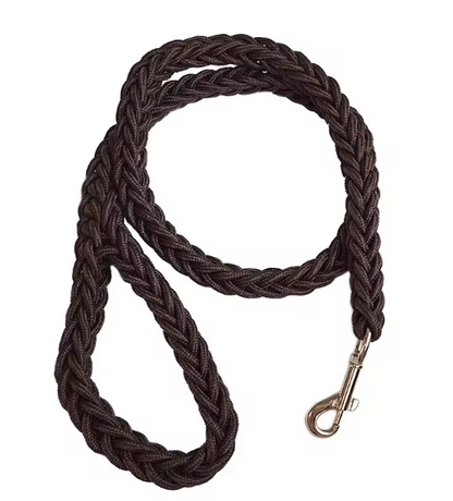 Laisse pour Chien | Robuste et Confortable