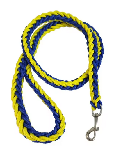 Laisse pour Chien | Robuste et Confortable