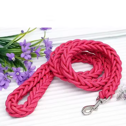 Laisse pour Chien | Robuste et Confortable