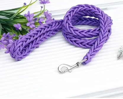 Laisse pour Chien | Robuste et Confortable