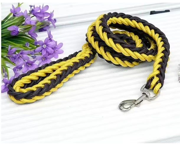 Laisse pour Chien | Robuste et Confortable