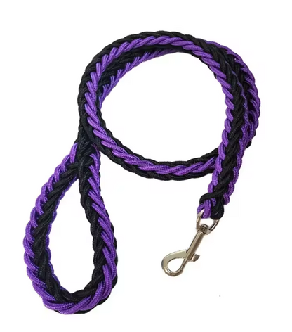 Laisse pour Chien | Robuste et Confortable