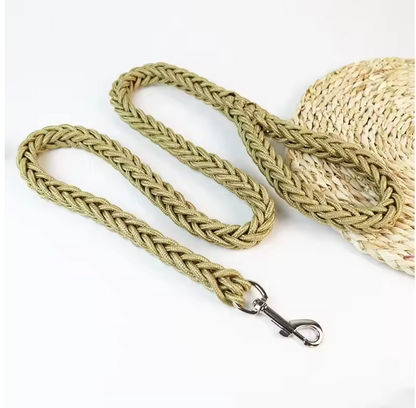 Laisse pour Chien | Robuste et Confortable