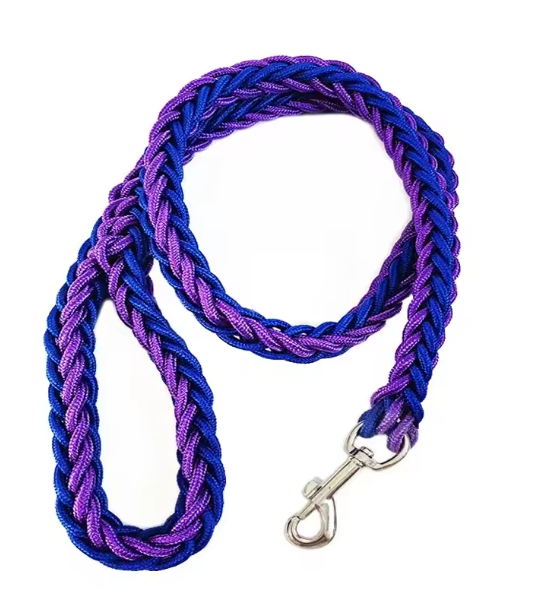 Laisse pour Chien | Robuste et Confortable