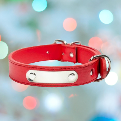 Collier de Chien rouge
