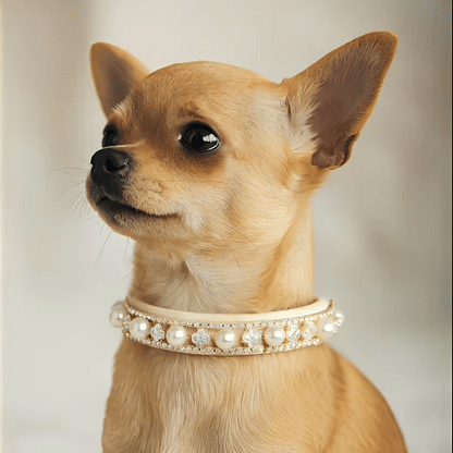 Collier Chien | Confort et Sécurité