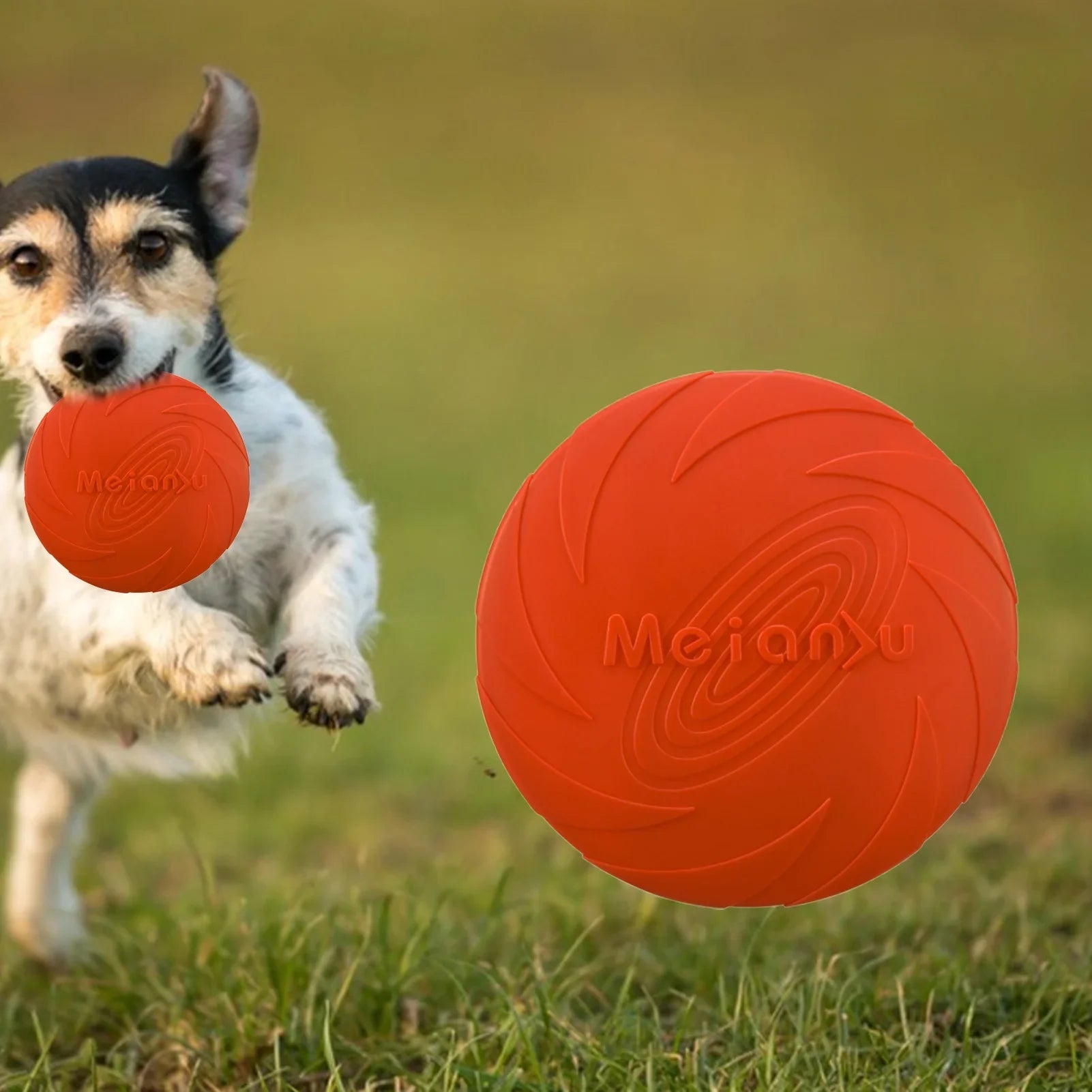 Frisbee FlyDogrouge jouet rouge disque volant exterieur