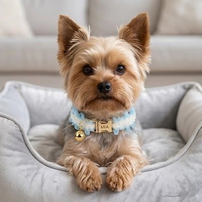 Collier Chien couleur bleue clochette pour petite race