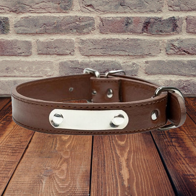 collier de chien marron