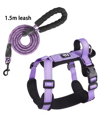 ensemble harnais violet et laisse de meme couleur