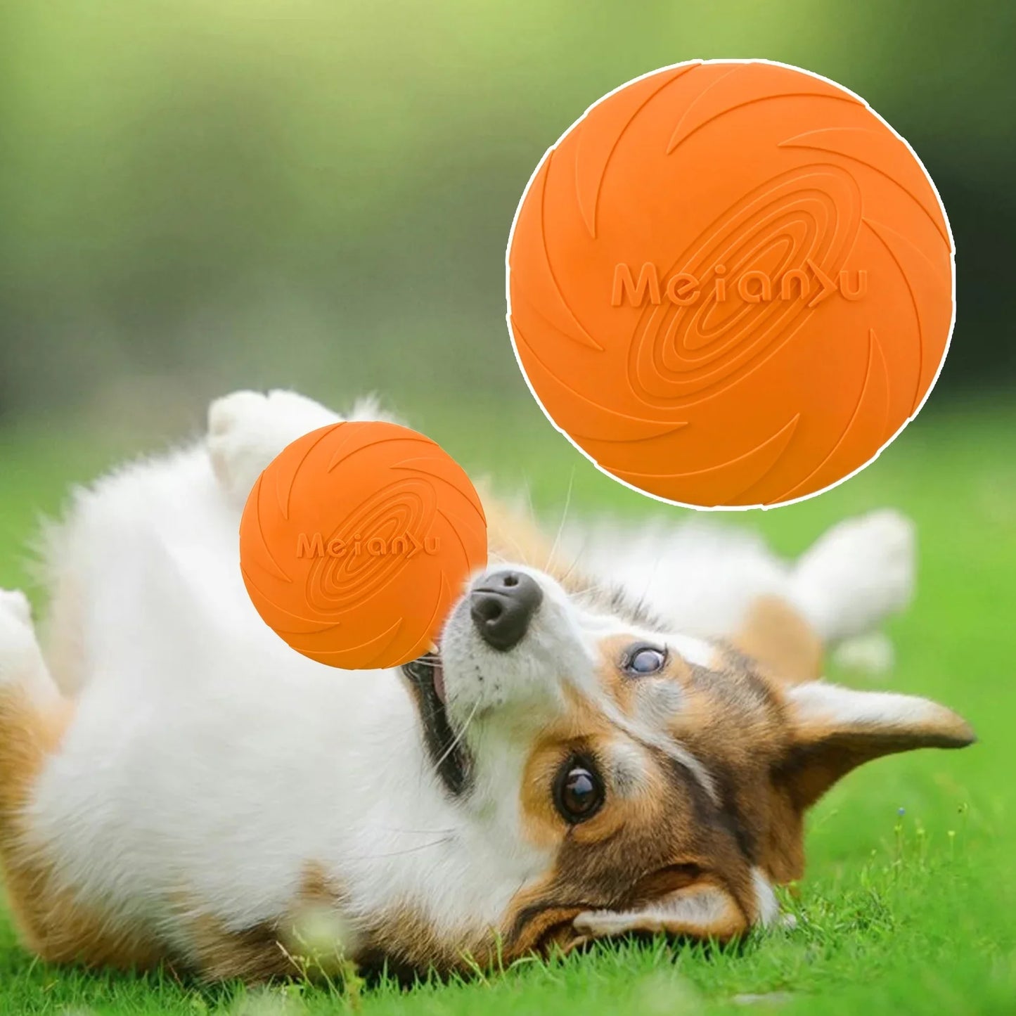 fisbee disque volant orange chien jouet-sortie