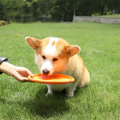frisbee disque volant chien jouet orange sortie jeu