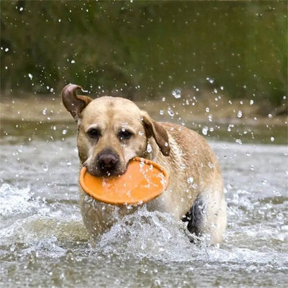 frisbee disque volant orange chien jouet exterieur eau