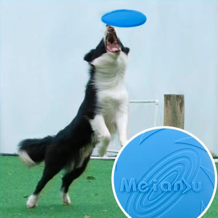 frisbee flydog bleue disque volant chien sortie jeux