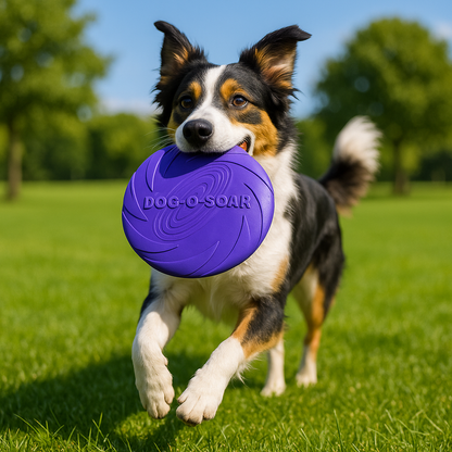 Jouet chien | Durable Intelligence