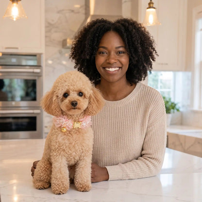 Collier Chien | Résistant et Confortable