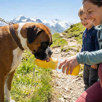 gourde boit chien jaune terrasse forest parc sentier femme enfant