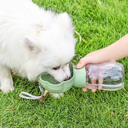 gourde chien boit vert terrasse sentier parc