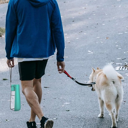 gourde chien couleur bleue marche avec homme