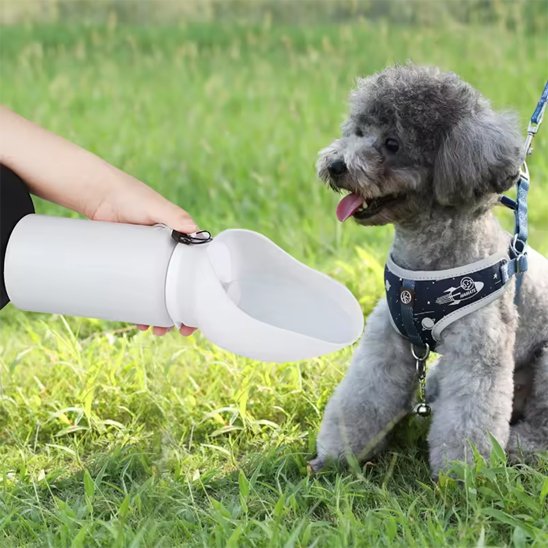 gourde chien couleur gris pour hydratation forest parc