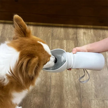 gourde chien couleur gris pour hydratation forest parc