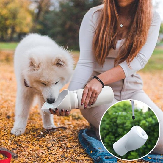 gourde chien couleur gris pour voyage plein air toute saisons