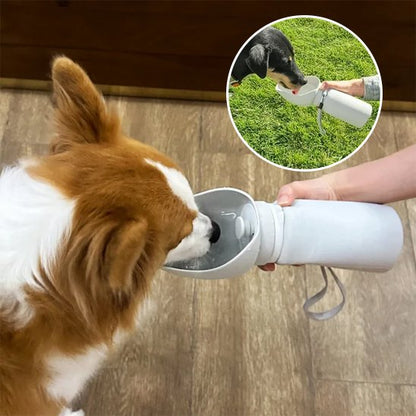gourde chien couleur gris pour voyage sortie plein air