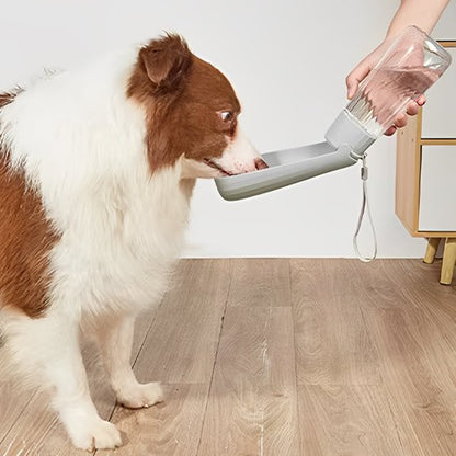 gourde chien couleur gris qui bois dans contenant interieur