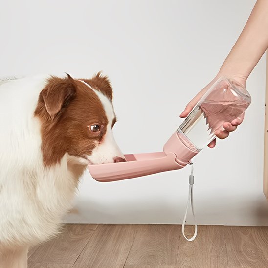 gourde chien couleur rose qui bois dans bouteille interieur