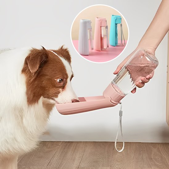 gourde chien couleur rose qui bois interieur avec femme