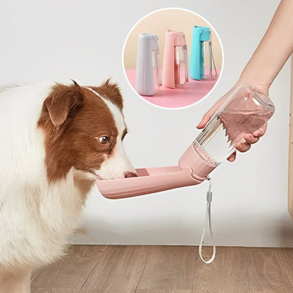 gourde chien couleur rose qui bois interieur avec femme