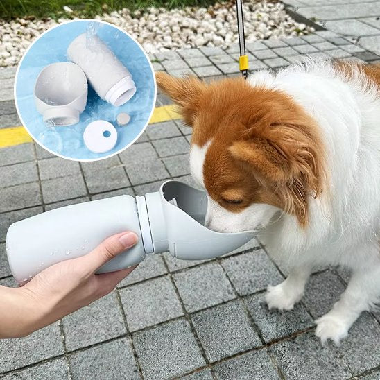 gourde chien petit pour exterieur couleur gris toute saisons