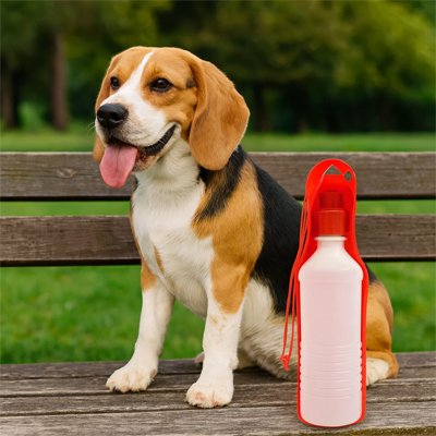 gourde pour chien rouge parc